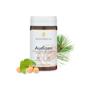 Audizen